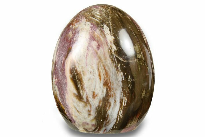 Free-Standing, Polished Petrified Wood - Madagascar #256706